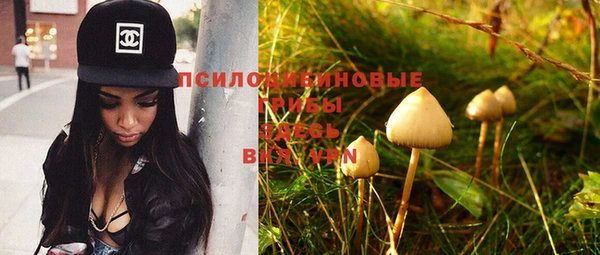 гашик Заволжье