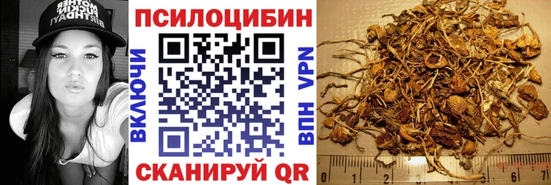 Купить закладки Дрезна Галлюциногенные грибы GOLDEN TEACHER